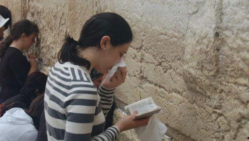 娱乐吃瓜君做错了啥,揭秘其犯错的惊人真相